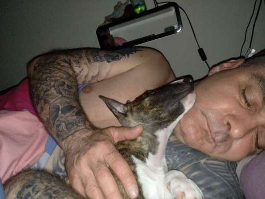 Darf der Hund bei Euch im Bett schlafen?-Beitrag-Bild