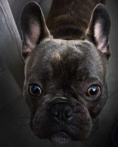 Lieblingsbild-Beitrag-Bild