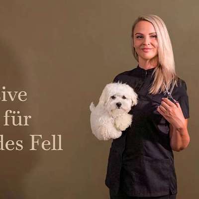 Hundefriseure-KAHU Hundesalon-Bild