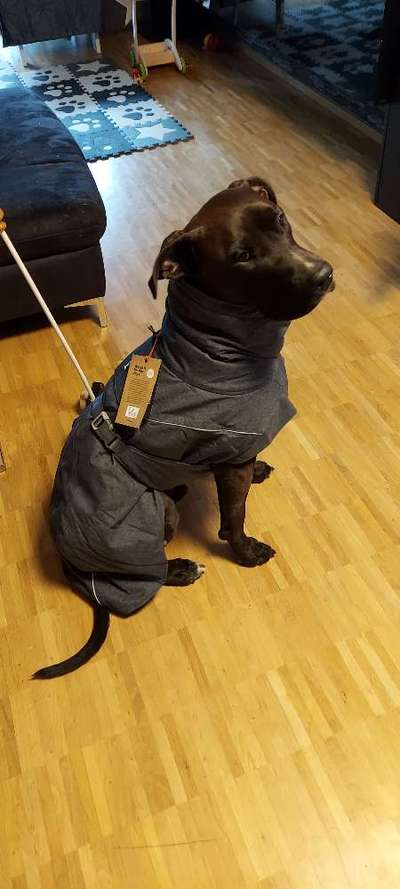 Wintermantel-Beitrag-Bild