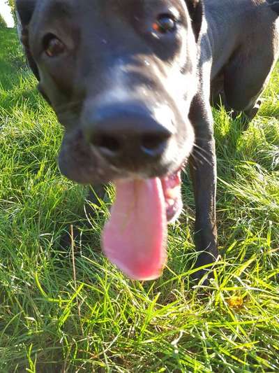 Lustige Bilder-Beitrag-Bild