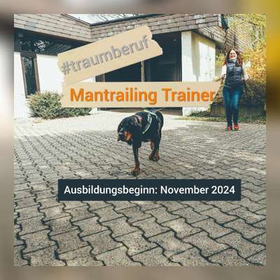 Hundetreffen-Ausbildung Mantrailing Trainer-Bild