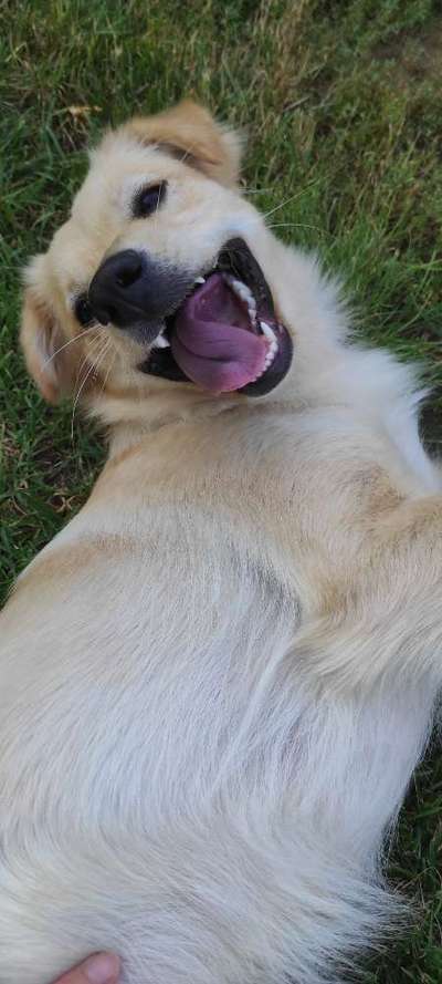 Fotochallenge Nr. 47 - Zeigt die Zähne-Beitrag-Bild