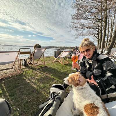 Hundetreffen-Runde um den Bötzsee-Bild