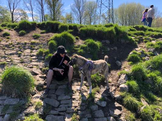 Herdenschutzhund-Beitrag-Bild