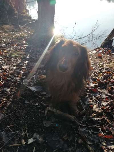 Foto Challenge Nr. 79-Beitrag-Bild