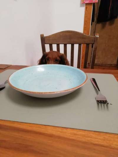 Ratespaß geht weiter-Beitrag-Bild