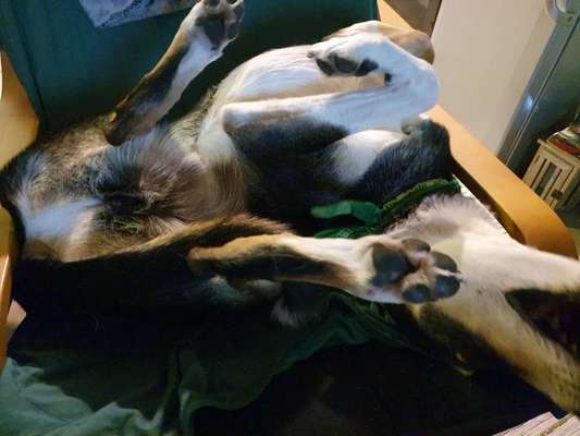 Die unbequemsten und lustigsten Schlafpositionen-Beitrag-Bild