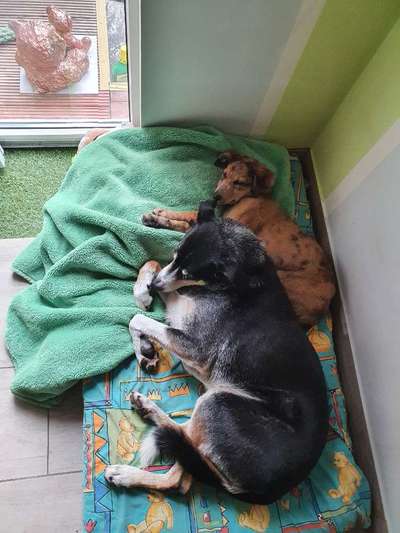 Die unbequemsten und lustigsten Schlafpositionen-Beitrag-Bild