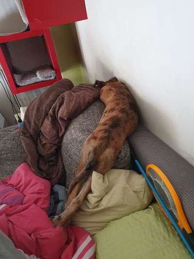 Die unbequemsten und lustigsten Schlafpositionen-Beitrag-Bild