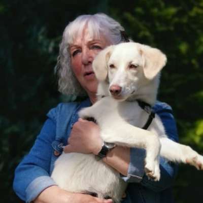 Hannelore's Profilbild