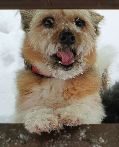 Tongue Out Tuesday-Beitrag-Bild