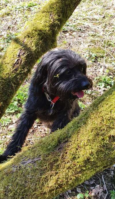 Fotochallange 84-Beitrag-Bild