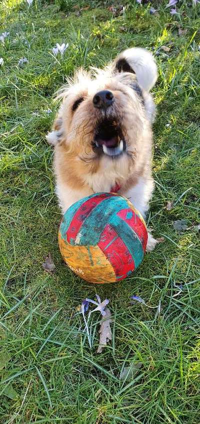 Fotochallange 84-Beitrag-Bild