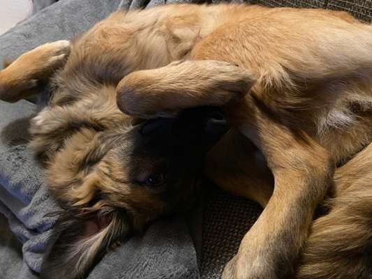 Die unbequemsten und lustigsten Schlafpositionen-Beitrag-Bild