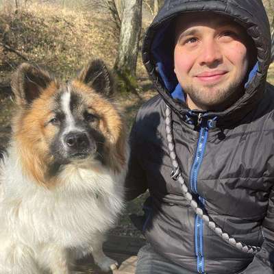 Hundetreffen-Gassirunde in und um Halberstadt