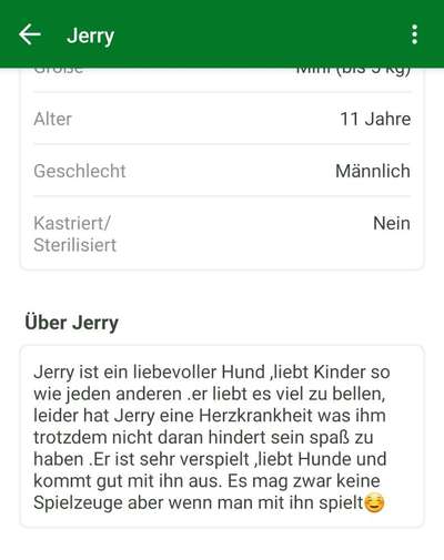 Hat mein hund herzprobleme?-Beitrag-Bild