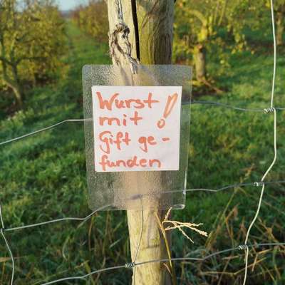 Giftköder-Warnschild am Heyerberg an der L 52-Bild