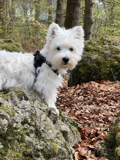 Foto Challenge Nr. 79-Beitrag-Bild