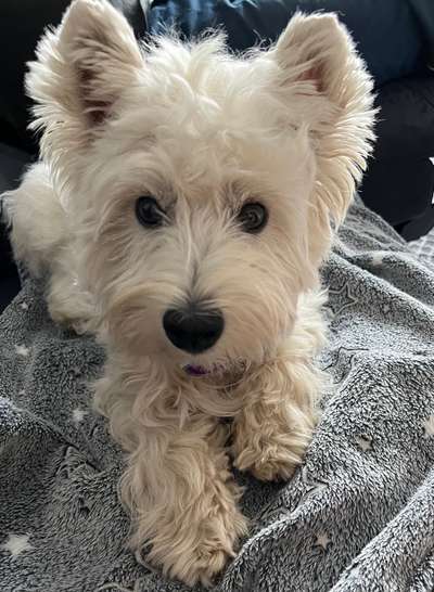 Ist das ein...?-Beitrag-Bild