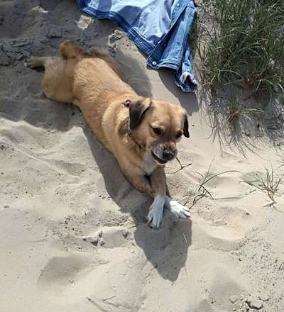 Fotochallenge Nr. 67: Euer Lieblingsbild-Beitrag-Bild