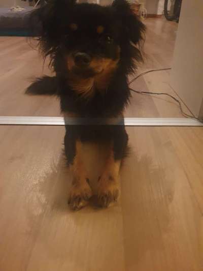 Un...scharf Bilder-Beitrag-Bild