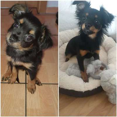 Sie werden so schnell erwachsen ...-Beitrag-Bild