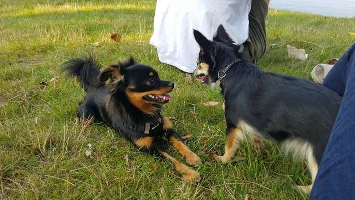 Fotochallenge liebespaare-Beitrag-Bild