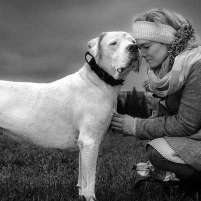 Hundetreffen-🙃Spielpartner -/in zum Toben gesucht-Bild
