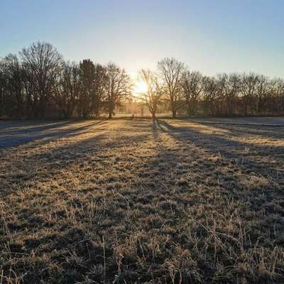 Hundeauslaufgebiet-Kreuzloch-Bild