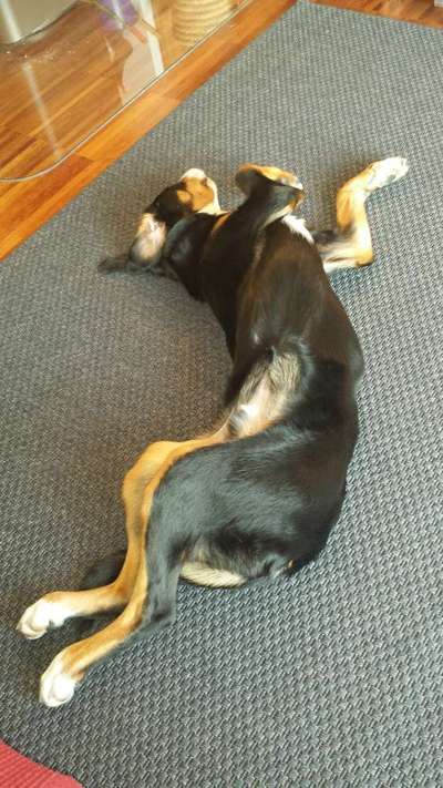 Die unbequemsten und lustigsten Schlafpositionen-Beitrag-Bild