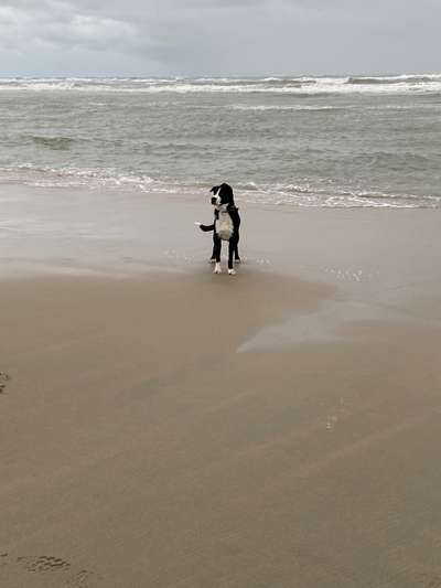 Fotowettbewerb Natur-Beitrag-Bild