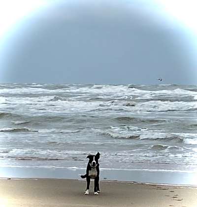 Fotochallenge Nr.100 Urlaubsimpressionen-Beitrag-Bild