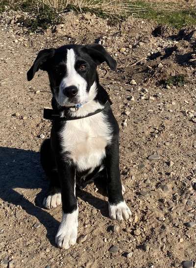 Fotowettbewerb Natur-Beitrag-Bild