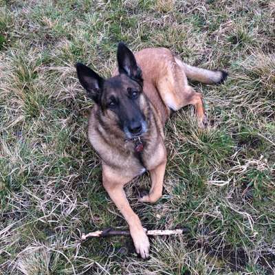 Lieblingsbild-Beitrag-Bild