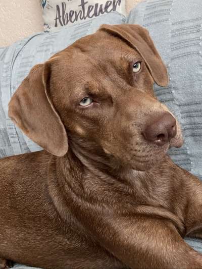 Fotochallange Nr. 57     PORTRÄT.   Beendet!!!!!!!!-Beitrag-Bild