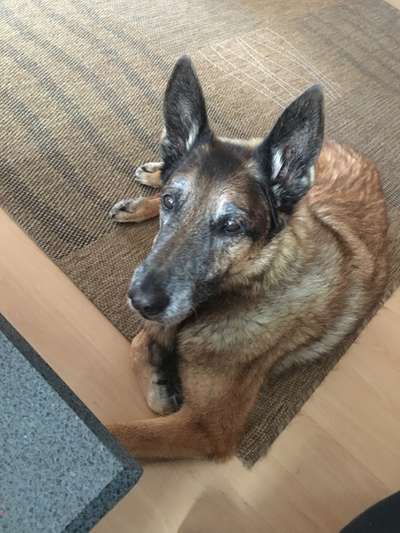 Fotochallenge Nr. 56 - geliebte Senioren-Beitrag-Bild