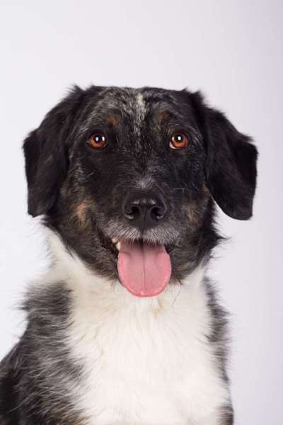 Fotochallange Nr. 57     PORTRÄT.   Beendet!!!!!!!!-Beitrag-Bild