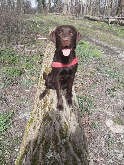 Schönen welt Frauen Tag !:)-Beitrag-Bild
