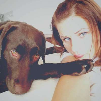 Hundetreffen-Gemeinsame Spaziergänge oder auch gerne Sportliche Aktivitäten