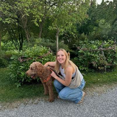 Hundetreffen-Playdate-Bild