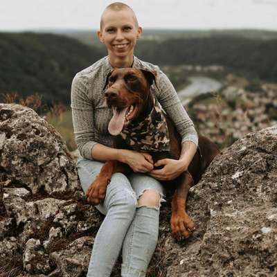 Hundetreffen-Hundefreund gesucht🐶-Profilbild