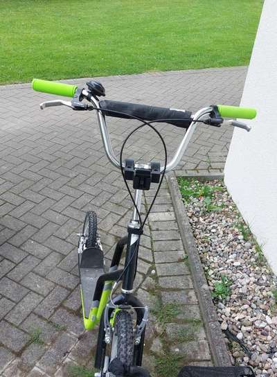 Roller fahren mit hund-Beitrag-Bild