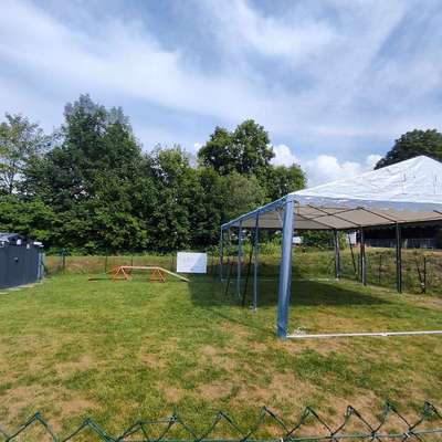 Hundeschule mit B.I.S.S. dsbei in Unterhausen  – Dogorama