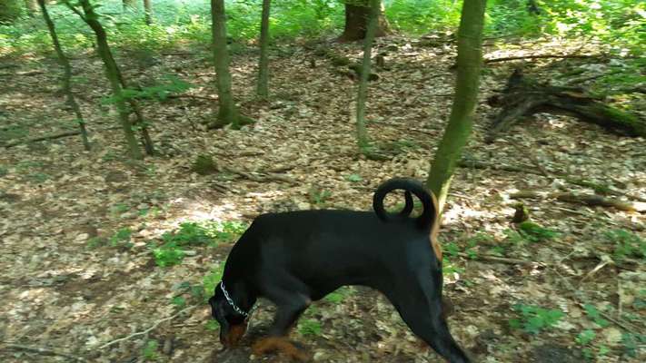 Blick fürs Detail!-Beitrag-Bild