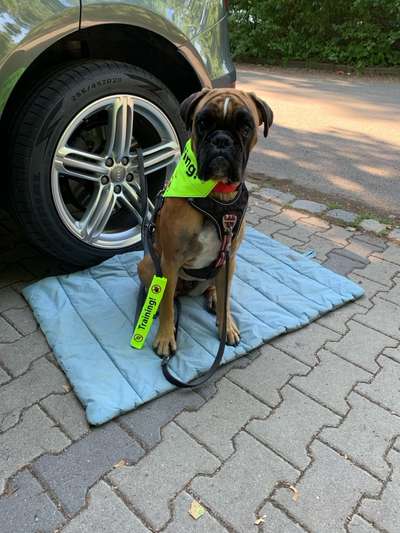 Gelbes Halstuch, gelbes Band oder gelbe Schleife-Beitrag-Bild