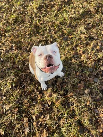 Fotochallenge Nr.122-Beitrag-Bild