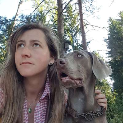 Hundetreffen-Spiel-und Gassirunde-Profilbild