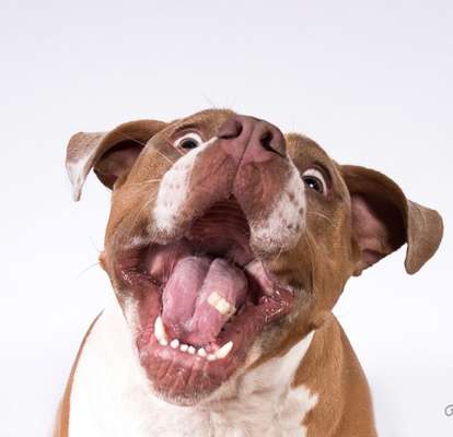 Fotochallange Nr. 57     PORTRÄT.   Beendet!!!!!!!!-Beitrag-Bild