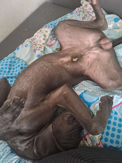 Foto Challenge - Zeigt her eure Bäuche-Beitrag-Bild